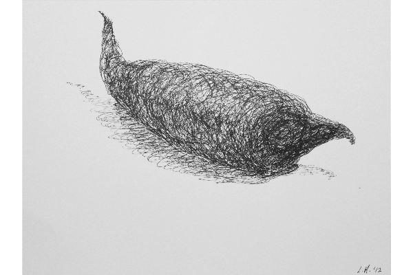 Drawn into Life VI, encre sur papier Canson Bristol, 12x9p.